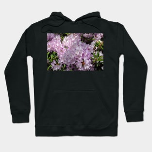 Rhododendron cluster Hoodie